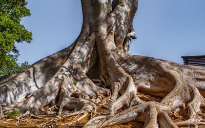 Una scelta convinta, perché non si dimentichi. Nulla.